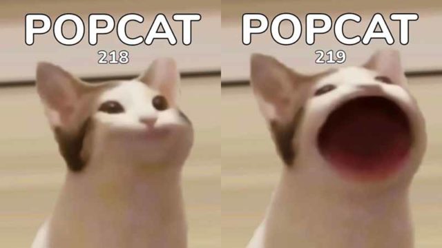 apa-itu-popcat-featured-640x360.jpg