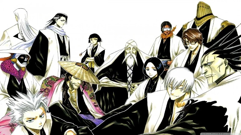 Fakta Organisasi Gotei 13 Bleach