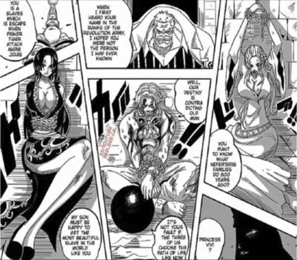 Kapan One Piece 1037 Rilis ? Baca Spoiler One Piece Chapter 1037 ! Nanti  Read One Piece 1037 Disini - Halaman all - Tribunpontianak.co.id