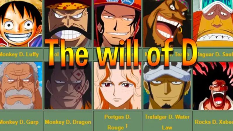 apa itu will of d one piece